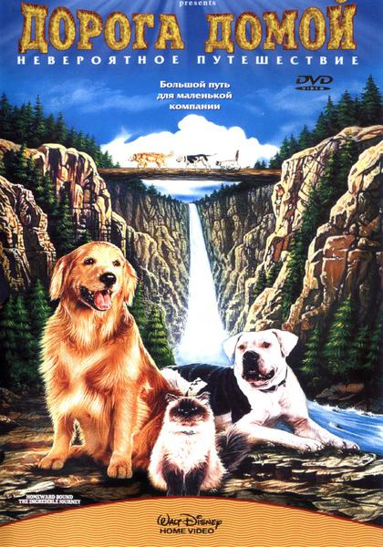 Лучшие фильмы про собак!
